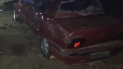 Şanlıurfa’nın Siverek ilçesinde otomobilin şarampole devrildiği kazada sürücü hayatını kaybetti.