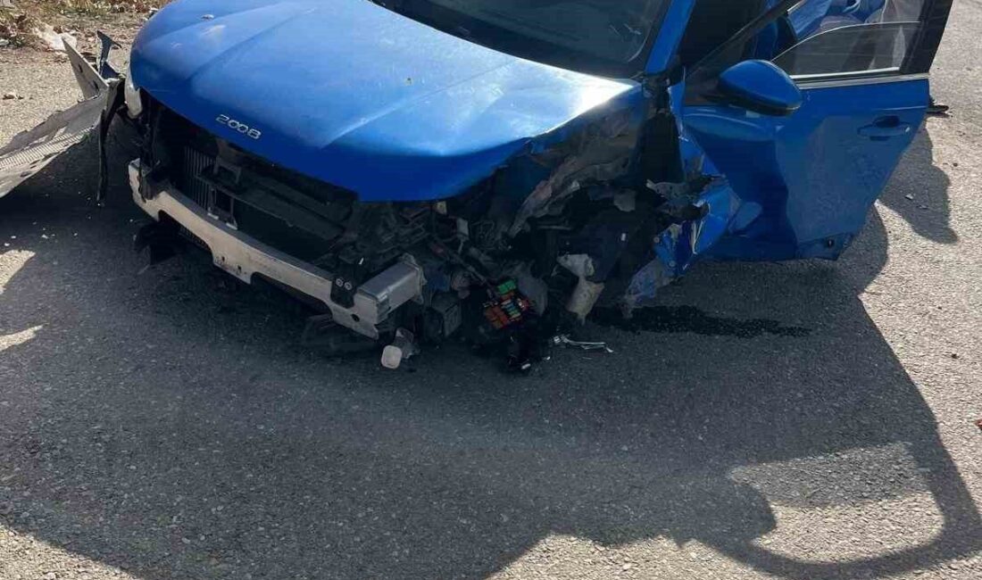 KIRŞEHİR(İHA)– Kırşehir’de sürücüsünün direksiyon hakimiyetini kaybettiği otomobil refüje çıkarak aydınlatma