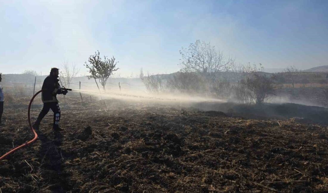 Adıyaman’ın Gölbaşı ilçesinde anız kalıntılarının bulunduğu bir arazide çıkan yangın,