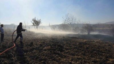 Adıyaman’ın Gölbaşı ilçesinde anız kalıntılarının bulunduğu bir arazide çıkan yangın,