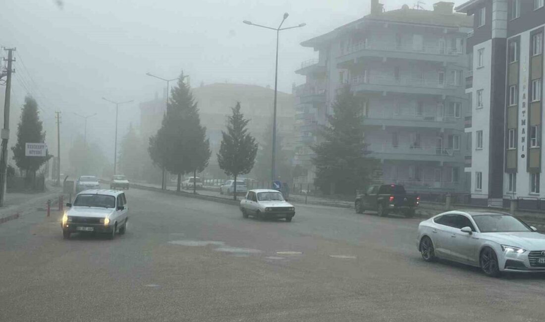 Tavşanlı ilçesinde yaşanan yoğun sis, günlük hayatı olumsuz etkiliyor. Özellikle