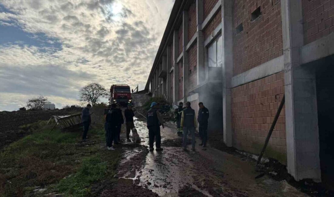 Sakarya ilinin Kaynarca ilçesinde bir tavuk çiftliğinin deposunda çıkan yangın,