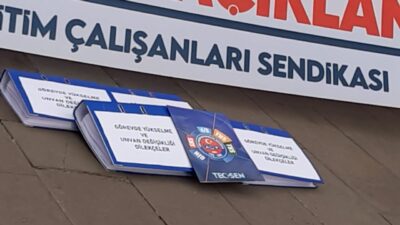 Eğitim alanında faaliyet gösteren Tüm Eğitim Çalışanları Sendikası (TEÇ-SEN) ve