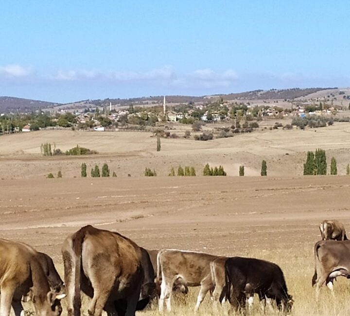 Tepefakılı Köy sakinlerinin uzun süredir devam eden büyük uğraşları ve