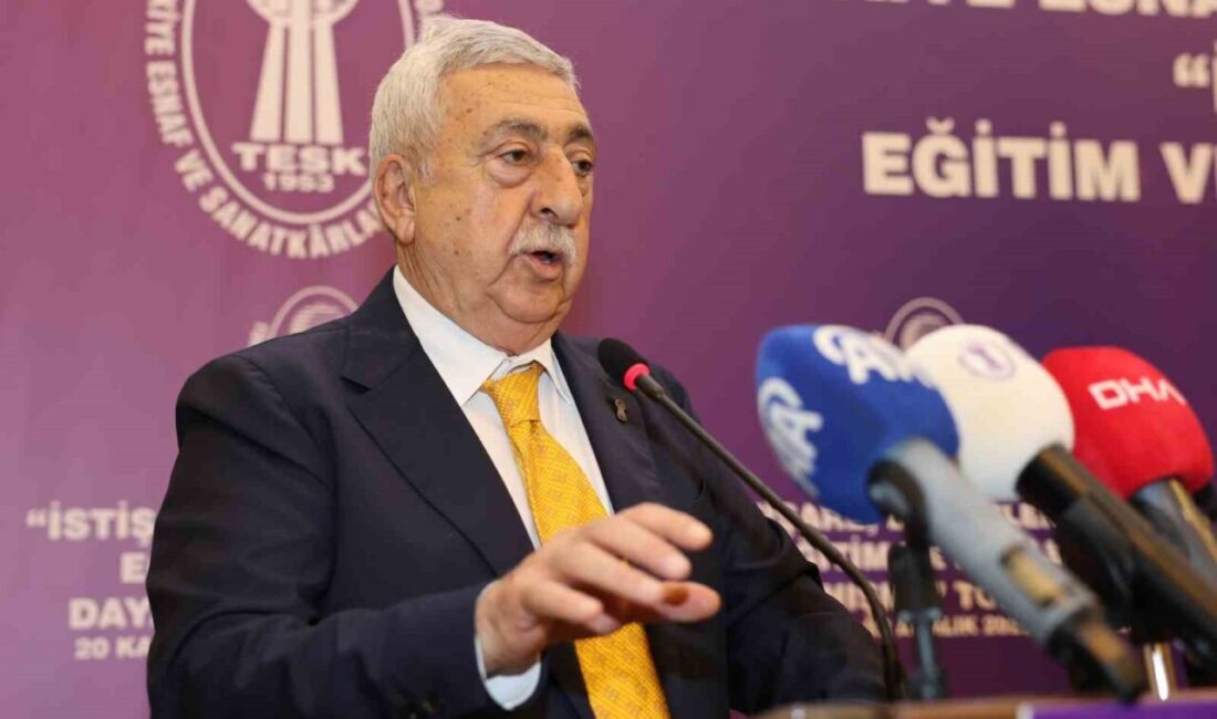 TESK Genel Başkanı Bendevi Palandöken, vergi sisteminin adil olması gerektiğini