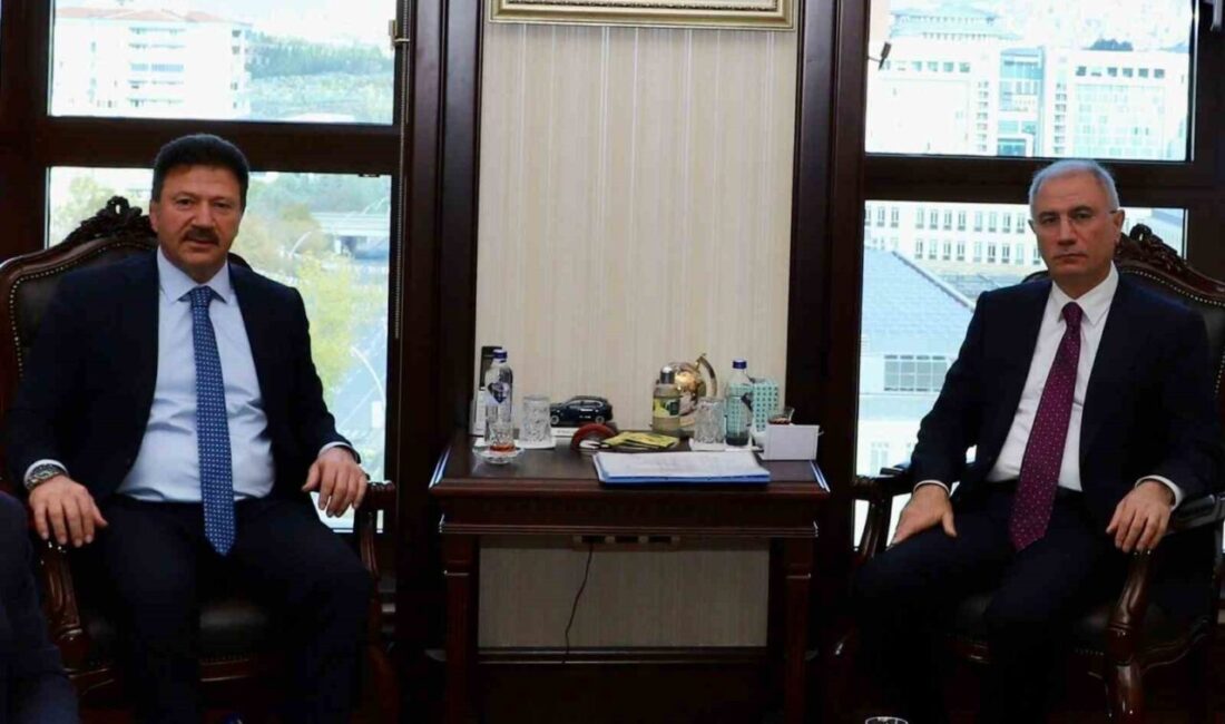 Türkiye Şoförler ve Otomobilciler Federasyonu (TŞOF) Genel Başkanı Mehmet Yiğiner,