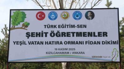 Türkiye Eğitim, Öğretim ve Bilim Hizmetleri Kolu Kamu Çalışanları Sendikası