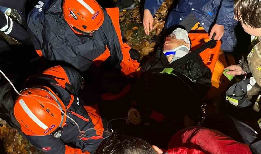 Bursa’da Uludağ Milli Parkı’nda kaybolan iki çocuktan biri, çıtıklar arasında