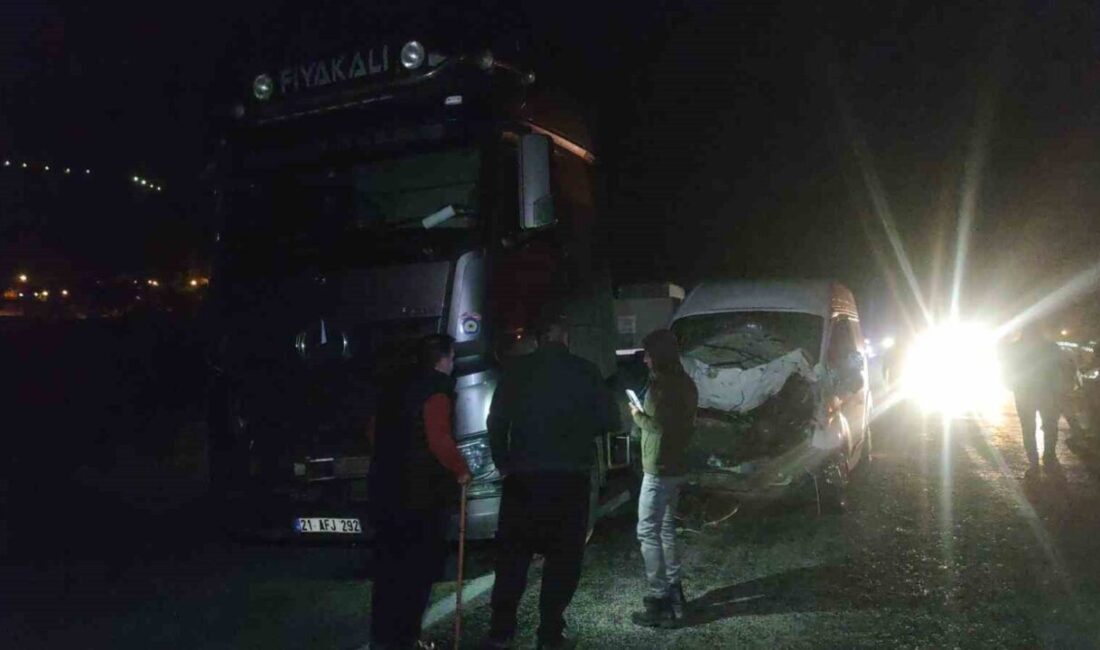 Van’ın Gevaş ilçesinde bir minibüs ile otomobil, aniden yola çıkan