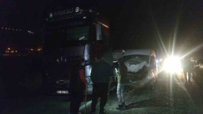 Van’ın Gevaş ilçesinde bir minibüs ile otomobil, aniden yola çıkan
