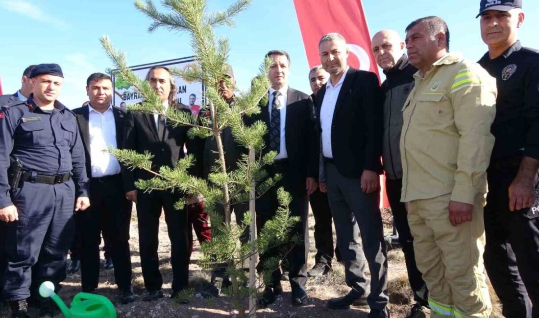 Eskişehir Seyitgazi’deki orman yangınında ’Yeşil Vatan’ uğruna canını feda eden