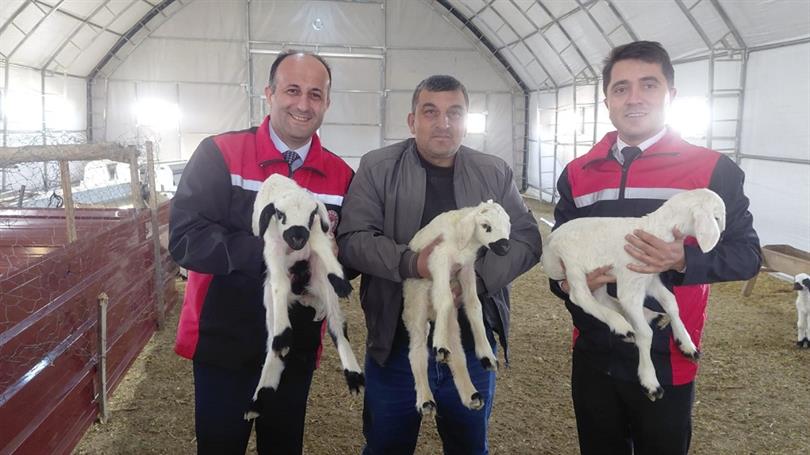 Yozgat İl Tarım ve Orman Müdürü Ömer Şentürk, Çekerek ilçesinde