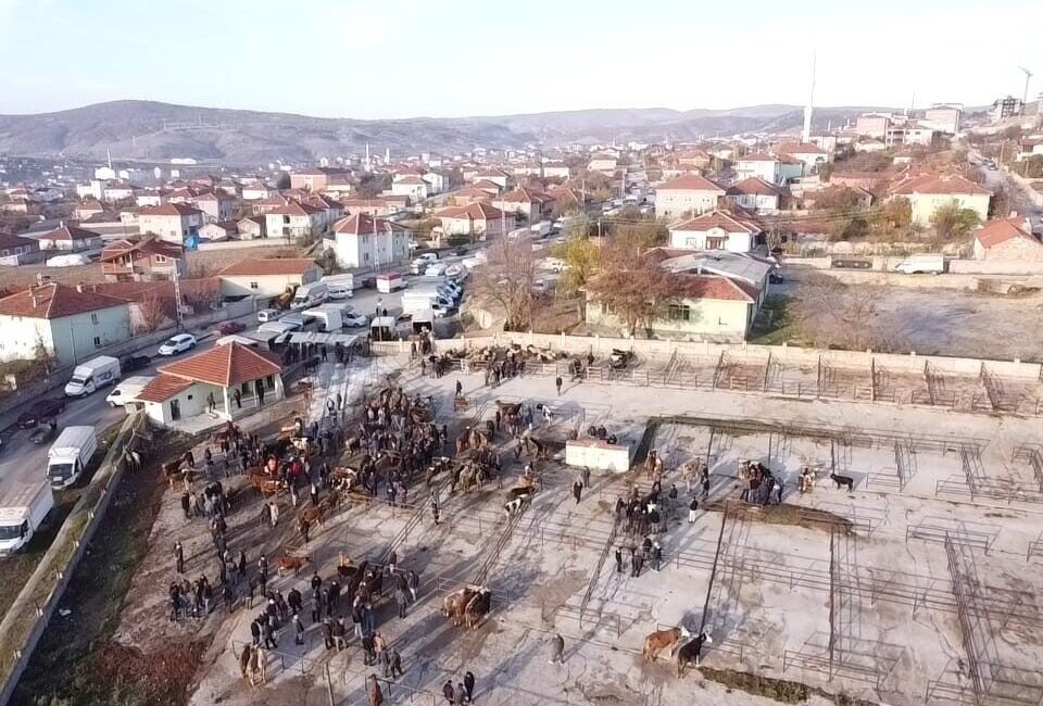 Yozgat’ın Çekerek ilçesinde bir süredir kapalı olan hayvan pazarı yeniden