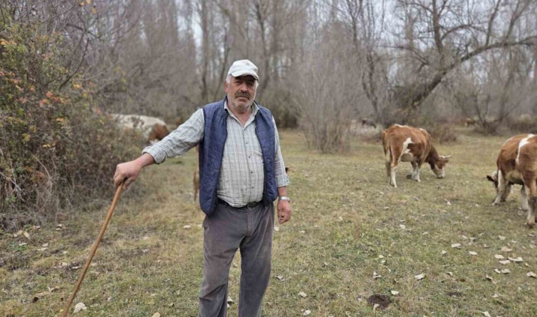 Yozgat’ta beklenen yağışların zamanında gerçekleşmemesi çiftçiler ve hayvancılıkla uğraşanları endişelendiriyor.