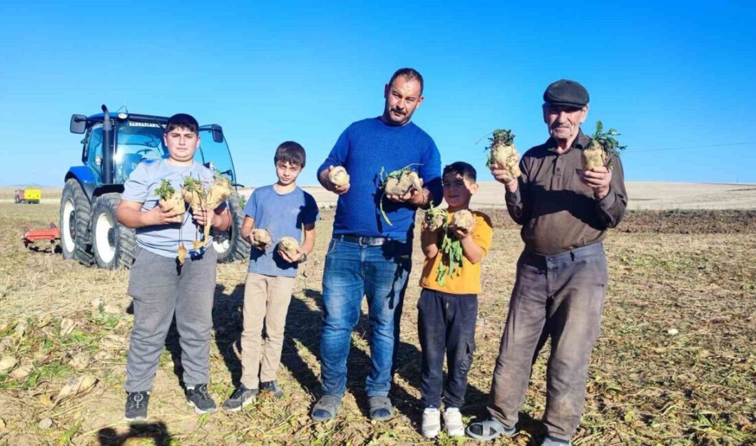 Türkiye genelinde şeker pancarı hasadında sona yaklaşılırken, çiftçiler aylar süren