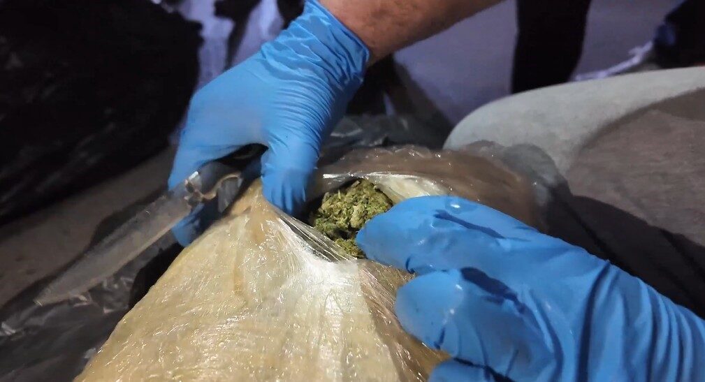 Mersin’e yurtdışından giriş yapan bir tıra düzenlenen operasyonda 223 kilogram
