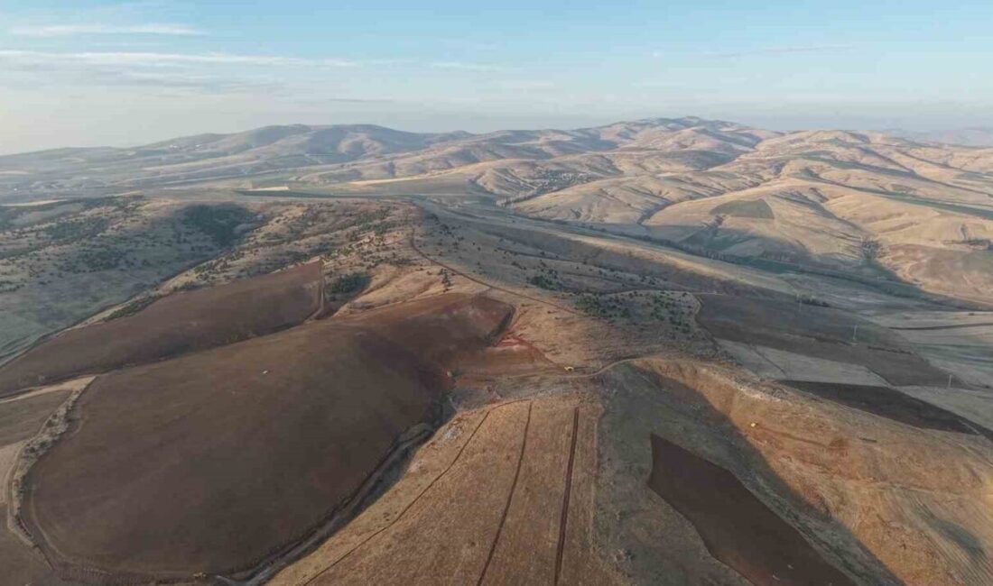 Keskin ilçesinde yüzlerce ağacın kesilmesine ilişkin tepkiler yükseliyor. Doğanın korunması