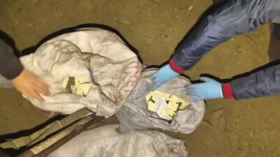 Hatay’da jandarma ekipleri tarafından gerçekleştirilen operasyonda, zeytin bahçesinde saklanmış bir