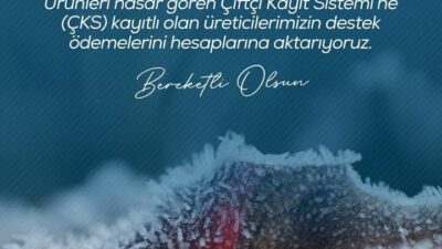 Tarım ve Orman Bakanı İbrahim Yumaklı, zirai don nedeniyle ürünleri