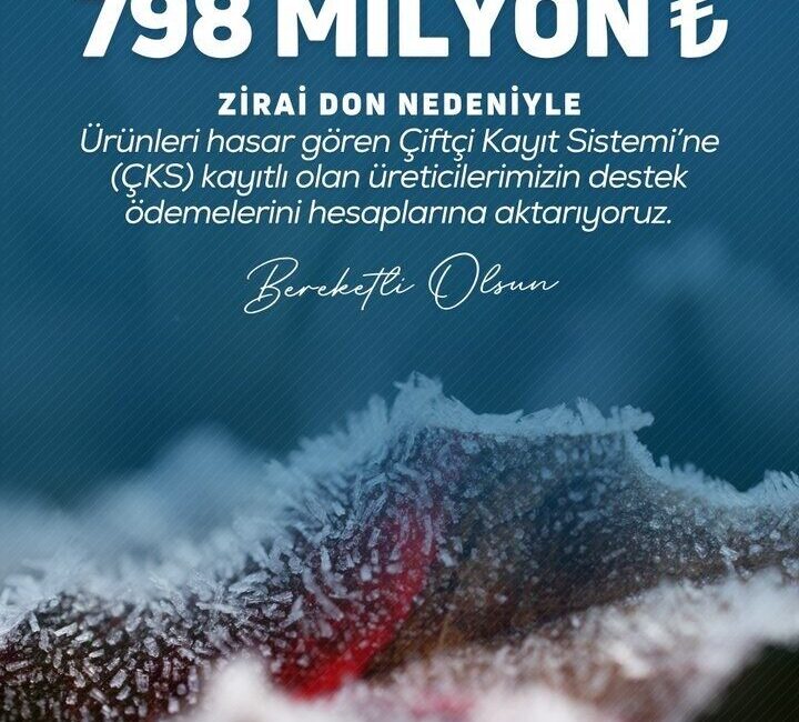 Tarım ve Orman Bakanı İbrahim Yumaklı, zirai don nedeniyle ürünleri