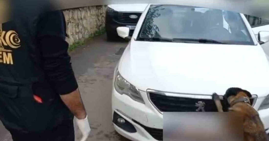 Sakarya’nın Akyazı ilçesinde, içinde 92 kilogram bonzai yapımında kullanılabilecek hammaddenin