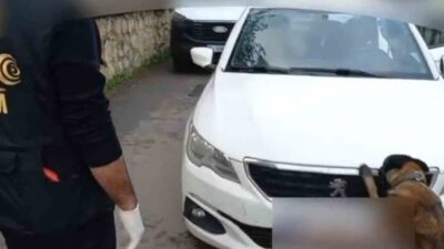 Sakarya’nın Akyazı ilçesinde, içinde 92 kilogram bonzai yapımında kullanılabilecek hammaddenin