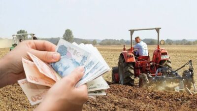 Tarım ve Orman Bakanlığı tarafından açıklanan destekleme ödemeleri kapsamında 2025