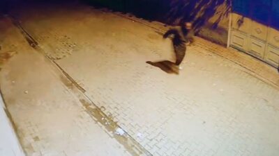 Adana’da bir kişinin evlerin camlarını taşlayarak kırdığı anlar güvenlik kameralarına