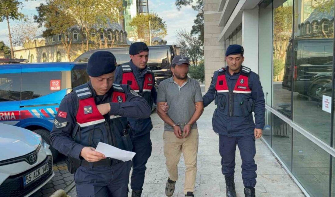 Samsun’un Tekkeköy ilçesinde meydana gelen olayda, ağaç kesimi esnasında bir