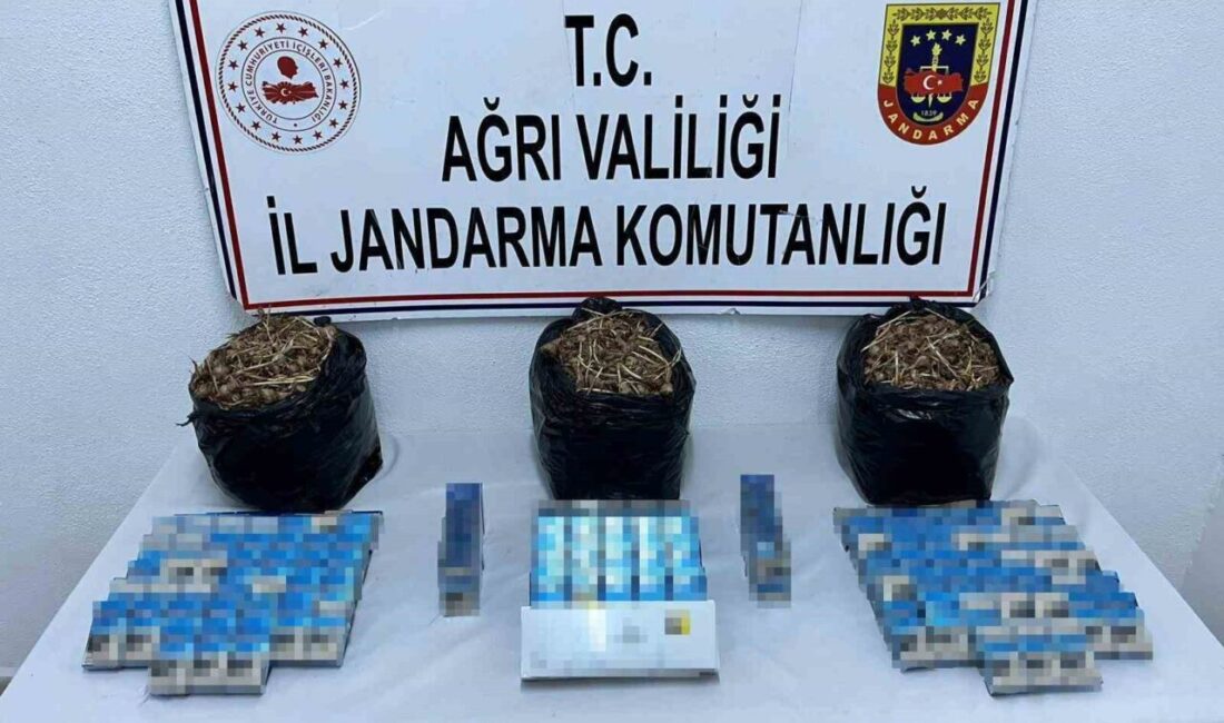 Ağrı’nın Doğubayazıt ilçesinde jandarma ekipleri tarafından gerçekleştirilen yol kontrolü sırasında