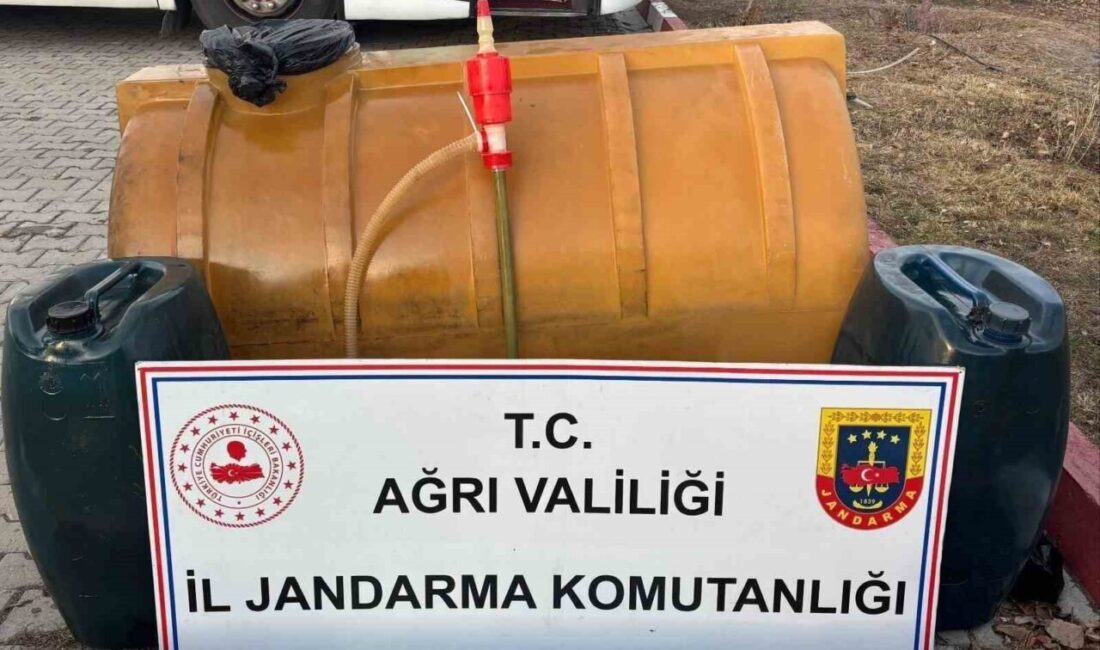 Ağrı İl Jandarma Komutanlığı ekipleri, Doğubayazıt ilçesinde yaptıkları yol kontrol