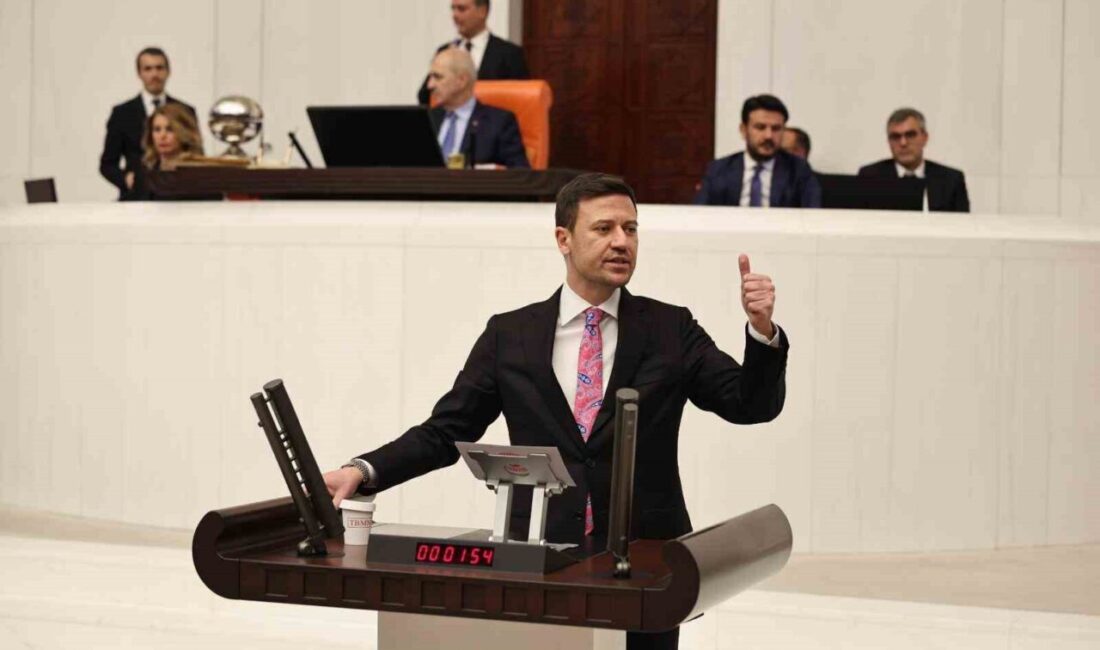 AK Parti Ankara Milletvekili ve Genel Başkan Vekili Yardımcısı Ahmet