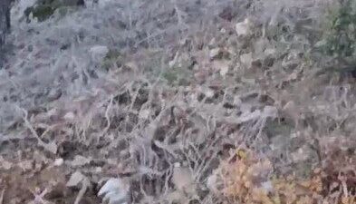 Alanya ilçesine bağlı Uzunöz Mahallesi’nde, havaların soğuması ve yaylalardan köylere