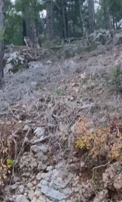 Alanya ilçesine bağlı Uzunöz Mahallesi’nde, havaların soğuması ve yaylalardan köylere
