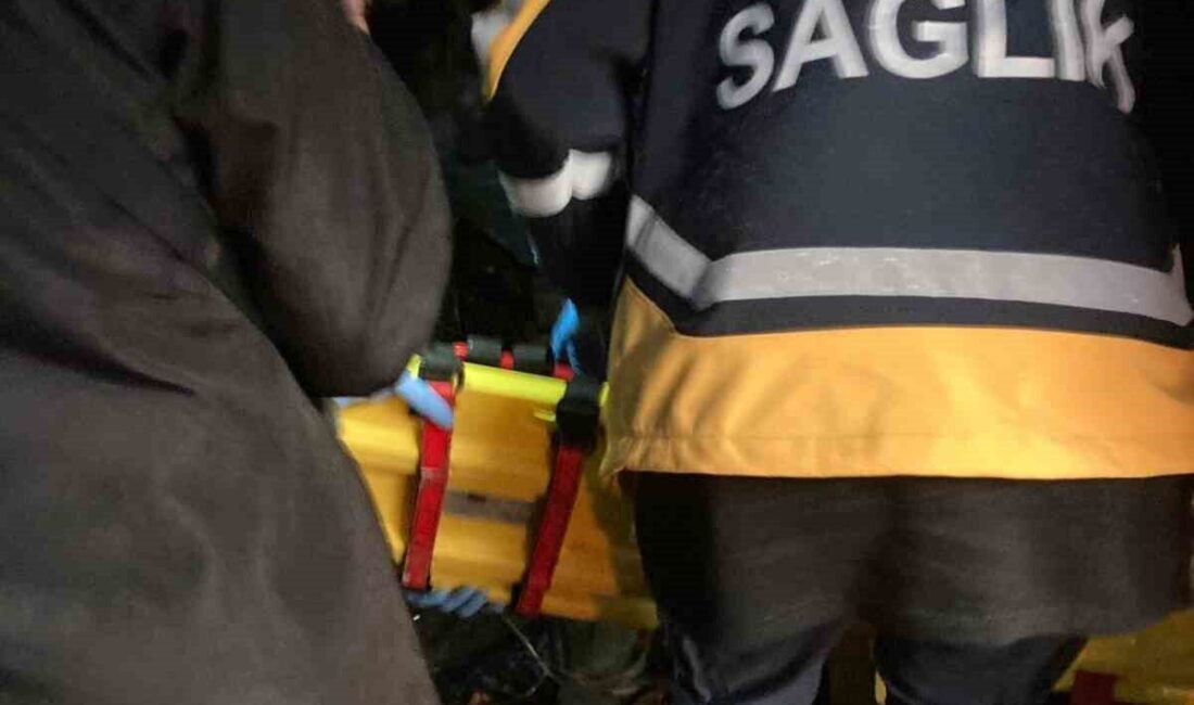 Alaplı ilçesinde meydana gelen bir pat pat kazasında 2 kişi