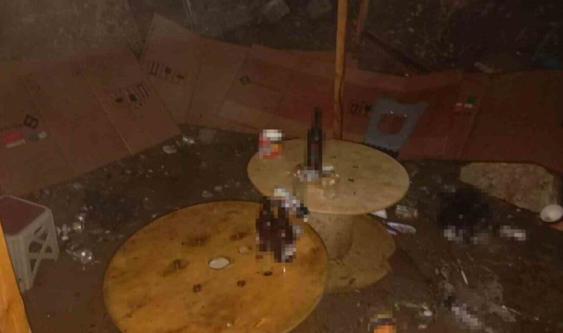 Sakarya’nın Akyazı ilçesinde Salıhiye Mahallesi’nde Mudurnu Deresi kenarında bulunan ve
