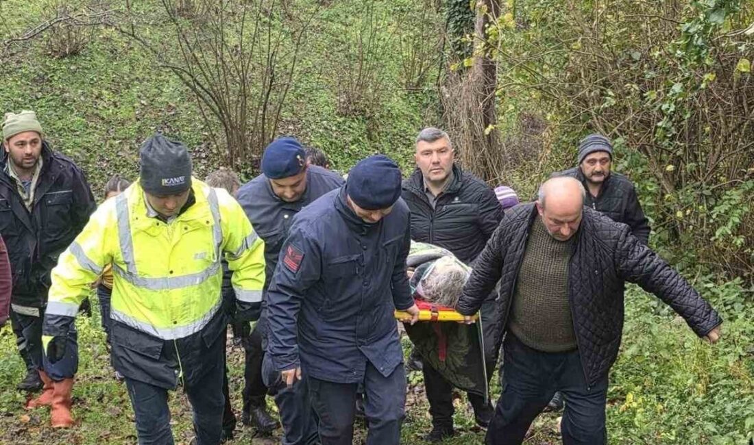 Samsun’un Terme ilçesinde gece yarısı evinden ayrılan bir Alzheimer hastası