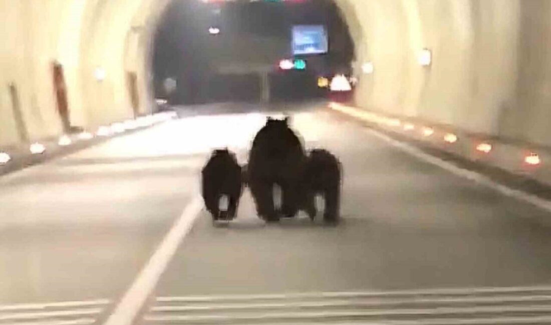 Bartın’ın Amasra ilçesinin girişinde bulunan 1100 metre uzunluğundaki tünelde 3