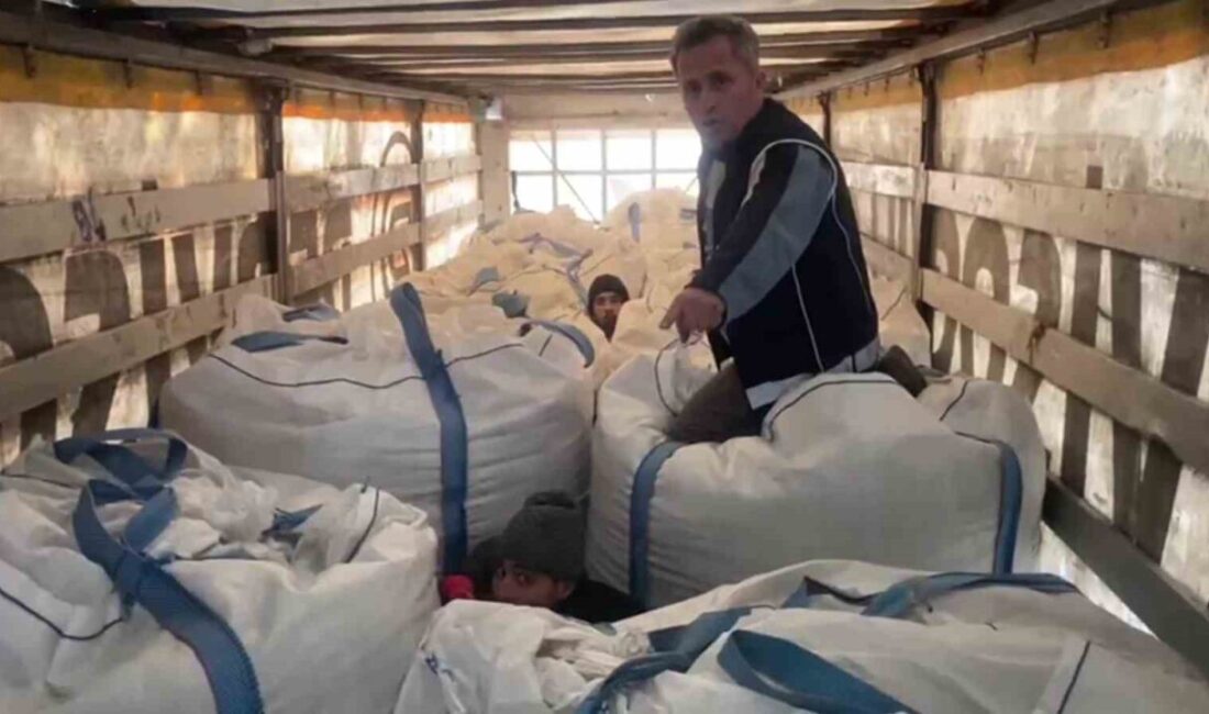 Amasya’da polis, düzenlediği operasyonda bir tırda yapılan aramada çuvalların arasında