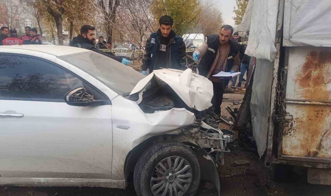 Şanlıurfa’nın Siverek ilçesinde, 15 gün önce doğum yapmış olan bir