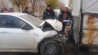 Şanlıurfa’nın Siverek ilçesinde, 15 gün önce doğum yapmış olan bir