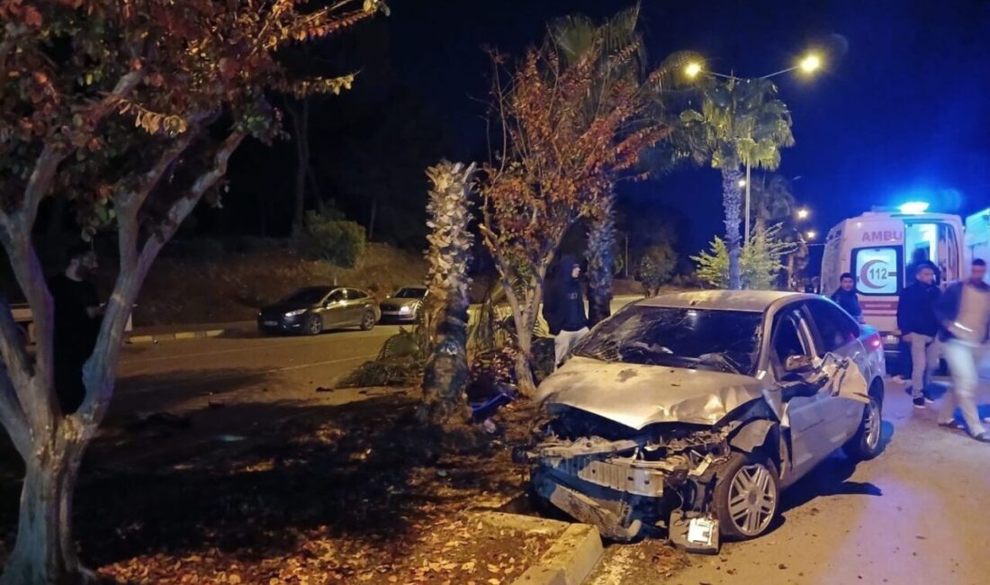 Manavgat ilçesinde bir otomobil sürücüsü, kontrolünü kaybederek refüjdeki bir palmiye