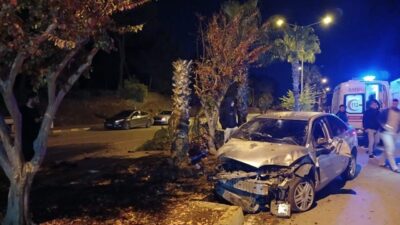 Manavgat ilçesinde bir otomobil sürücüsü, kontrolünü kaybederek refüjdeki bir palmiye