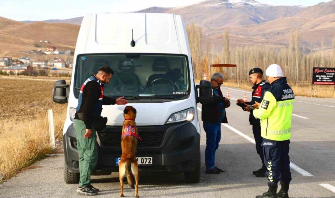 Bayburt İl Jandarma Komutanlığı birimleri, trafik güvenliğini sağlamak amacıyla denetimlerine