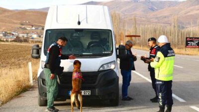 Bayburt İl Jandarma Komutanlığı birimleri, trafik güvenliğini sağlamak amacıyla denetimlerine