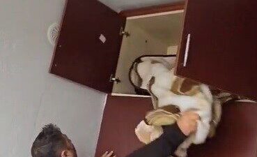 Konya’da, polis ekipleri tarafından aranan bir kişi, 49 ayrı suçtan