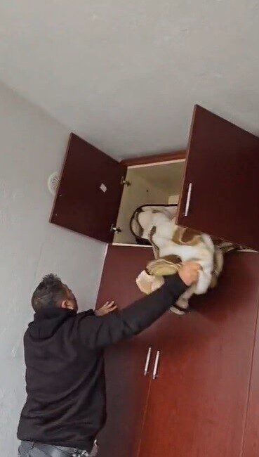 Konya’da, polis ekipleri tarafından aranan bir kişi, 49 ayrı suçtan
