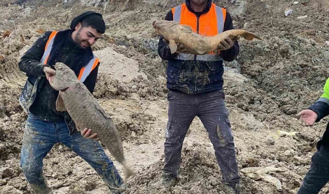 İstanbul Büyükşehir Belediyesi, Arnavutköy ilçesinde yer alan Bolluca Mavi Göl’ü