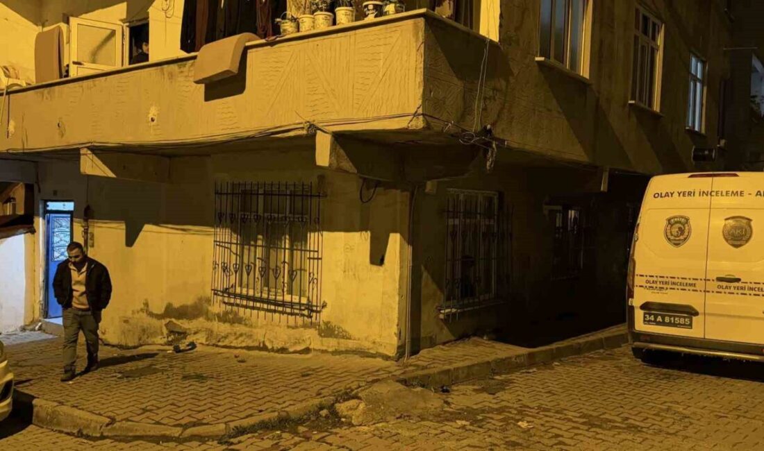 Arnavutköy ilçesinde meydana gelen olayda, iki kişi, silahla tehdit ederek
