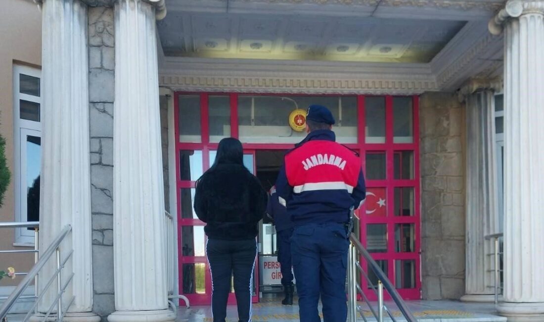 Aydın’ın Didim ve Germencik ilçelerinde çeşitli suçlardan aranan 2 şahıs,